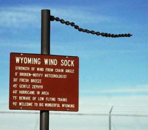 Wyoming Wind Sock, 02-16